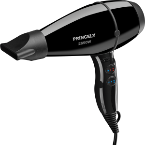 سشوار پرنسلی مدل pr200at